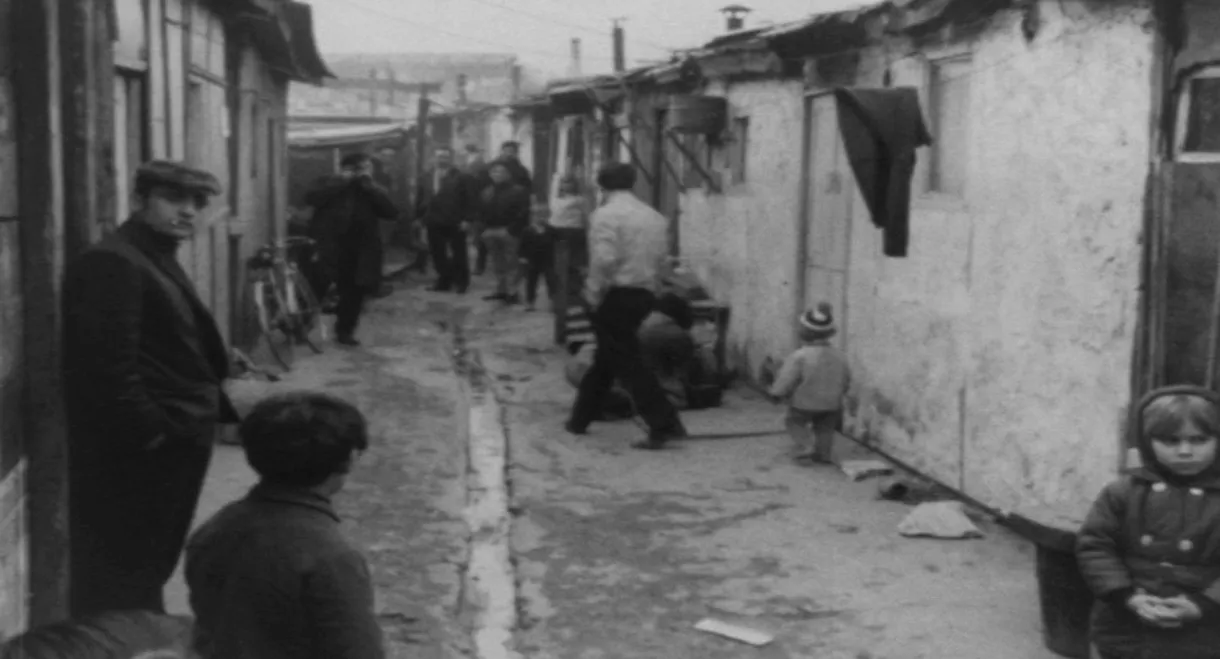 LES IMMIGRÉS EN FRANCE - LE LOGEMENT