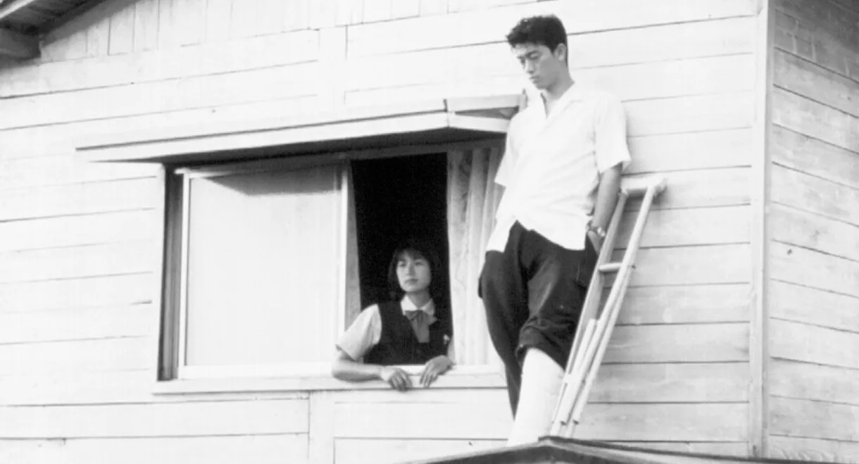 This Window Is Yours