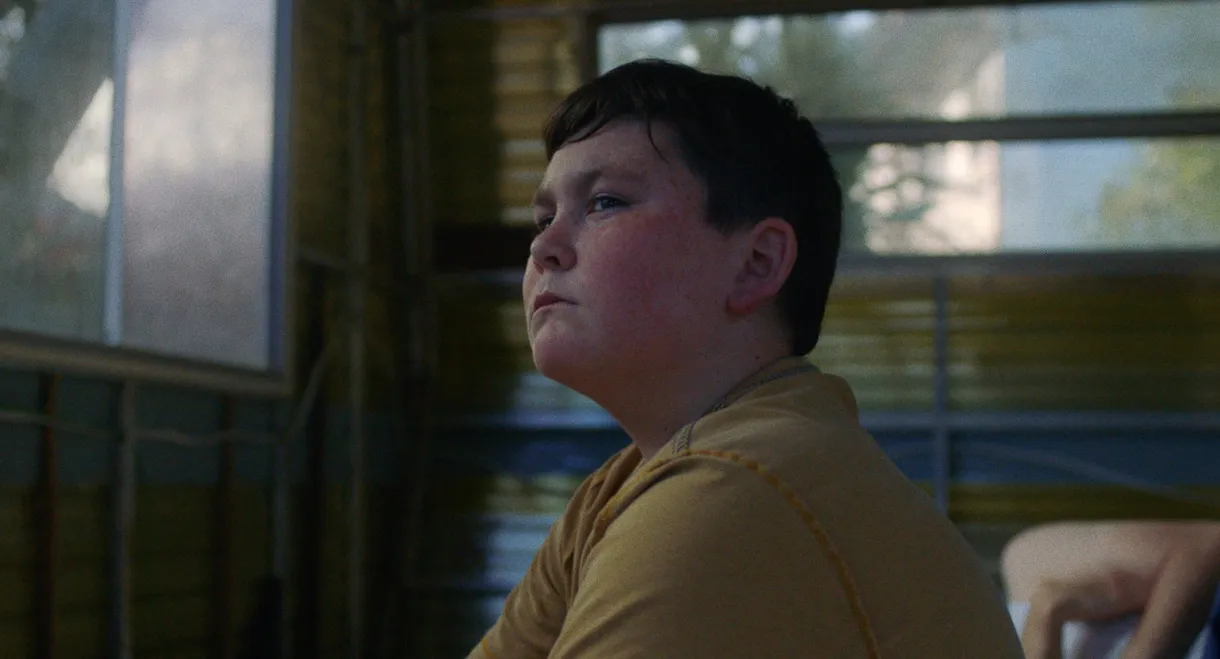 We Used to Own Houses