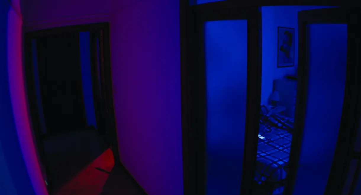 All'ordine della notte