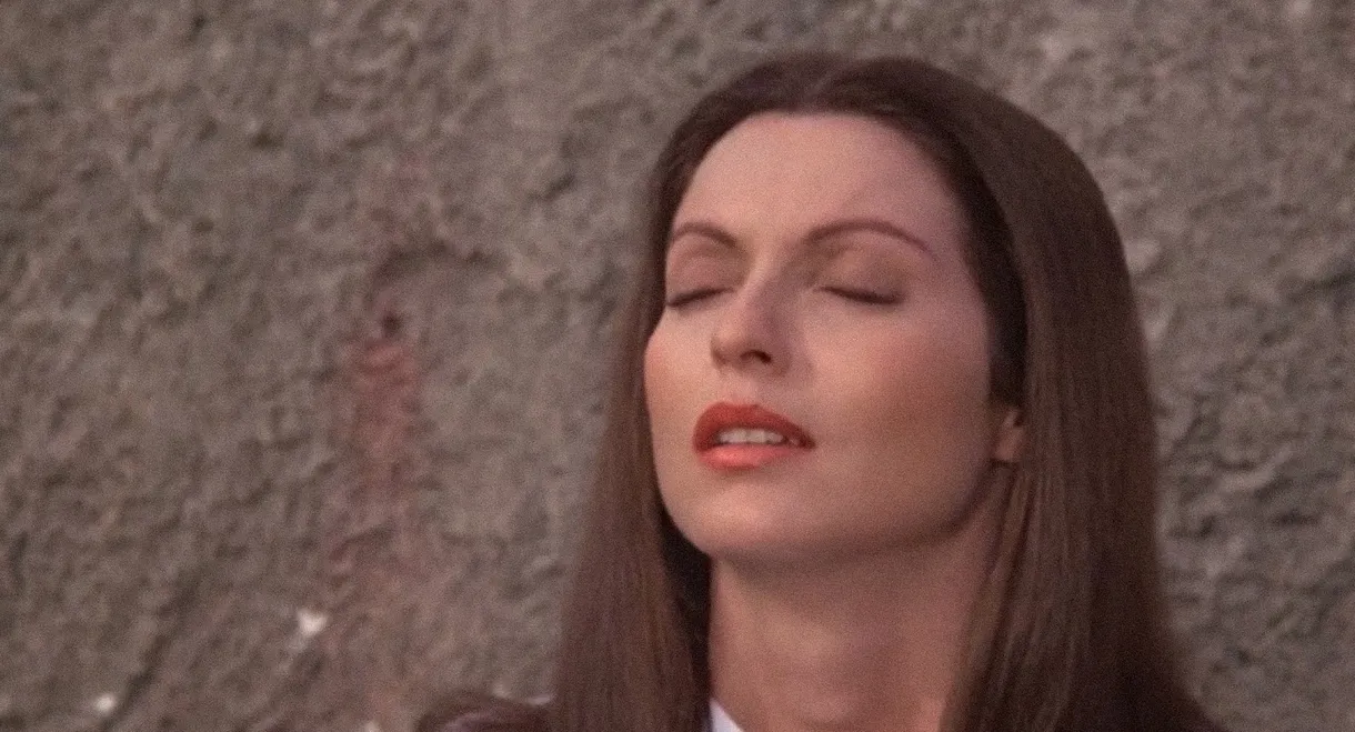 The Other Side of Midnight