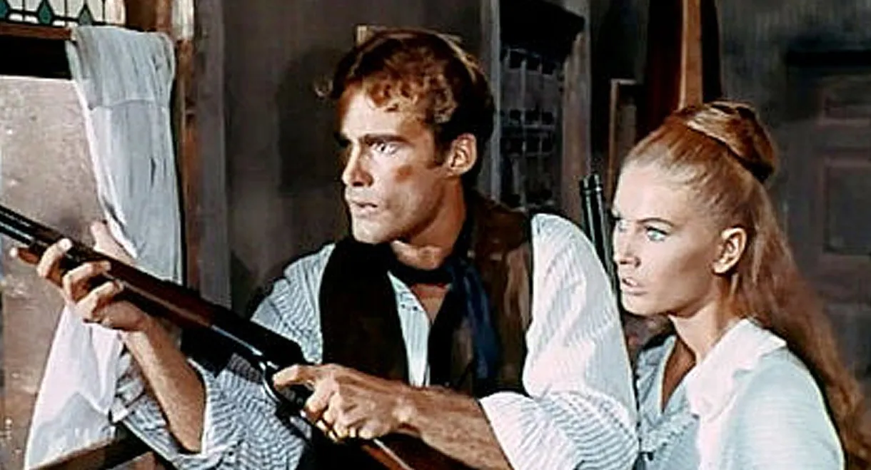 Seven Guns for Timothy