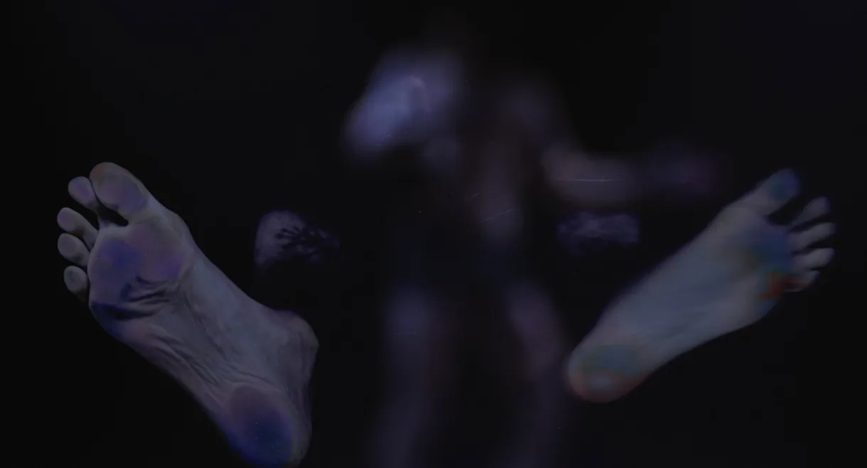 bailar la ausencia