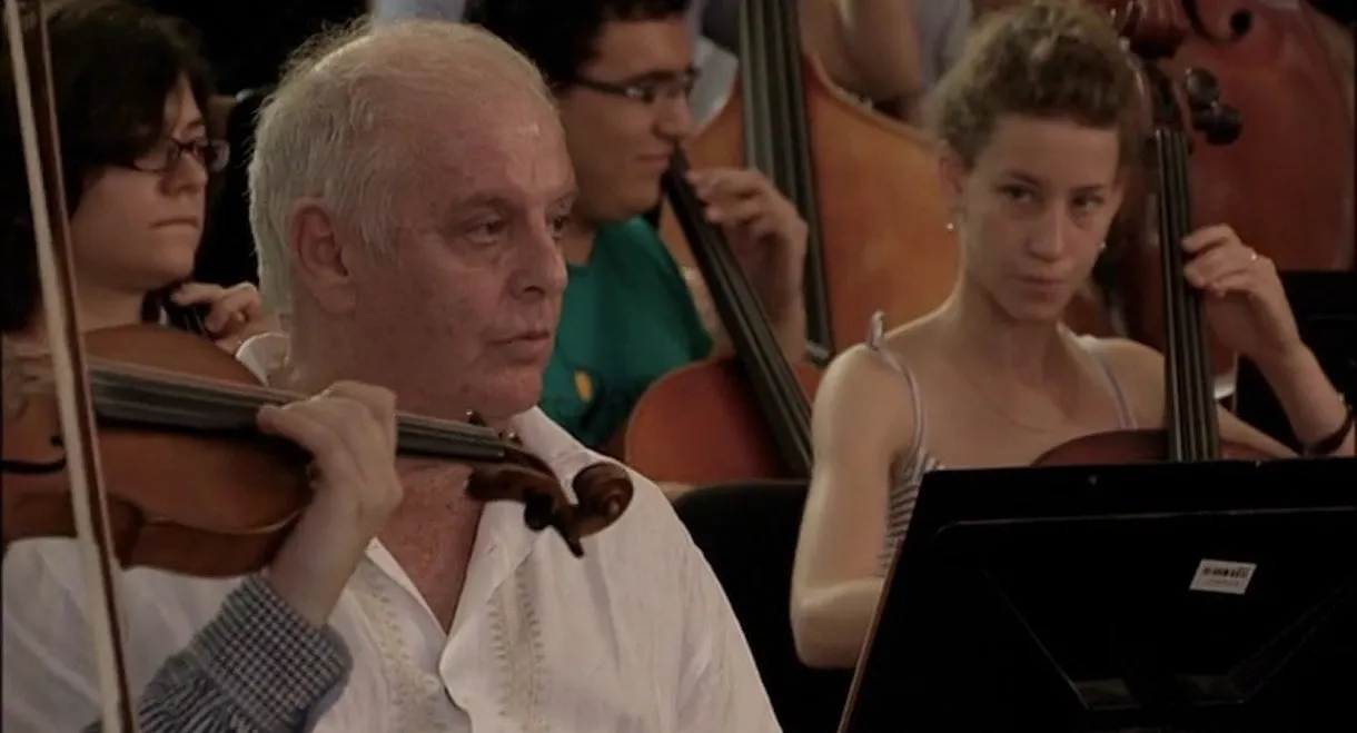 Barenboim on Beethoven: Nine Symphonies that Changed the World