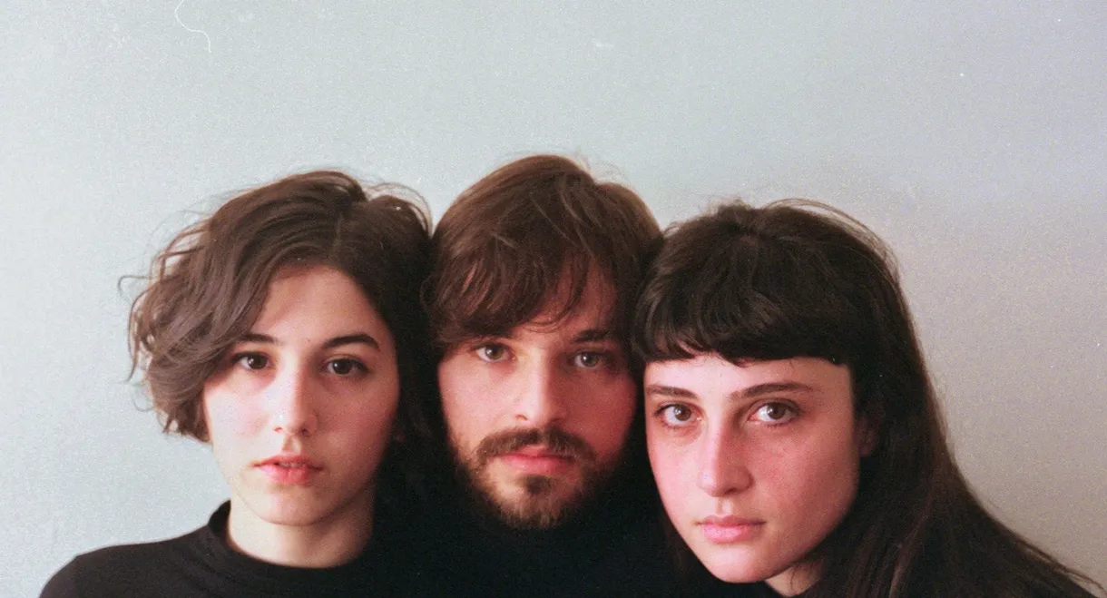 Os Pássaros de Massachusetts