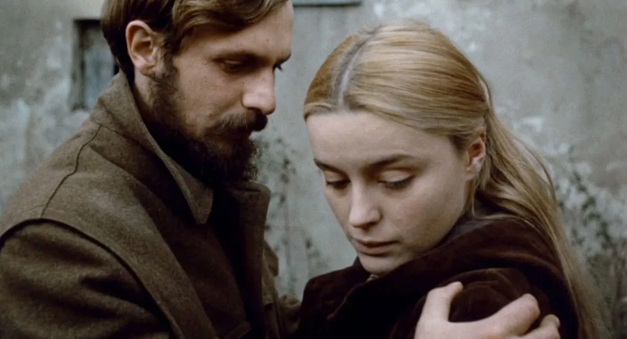 And Give My Love to the Swallows