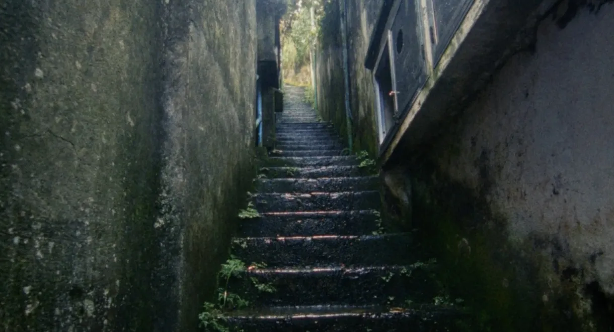 Mascarade: Origin Story