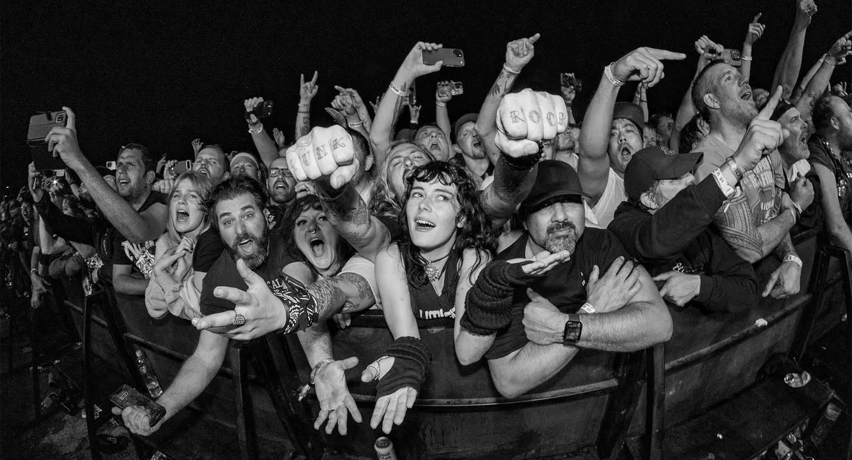 40 Years of Fuckin' Up