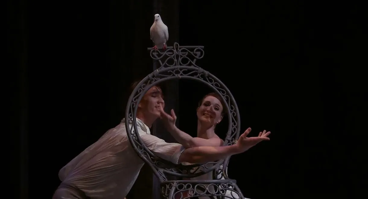 The Cellist and The Two Pigeons