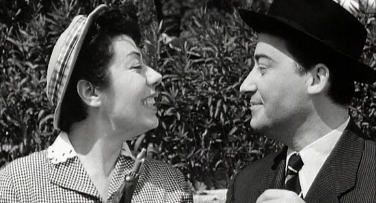 The Cicada and the Ant