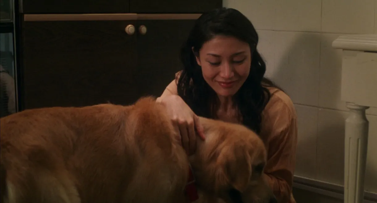 Every Dog Has His Date