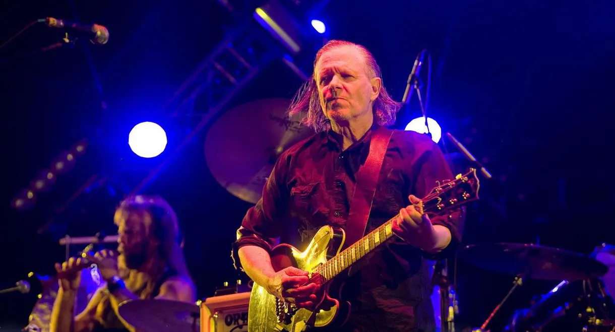 Swans: To Be Kind - Live 2013