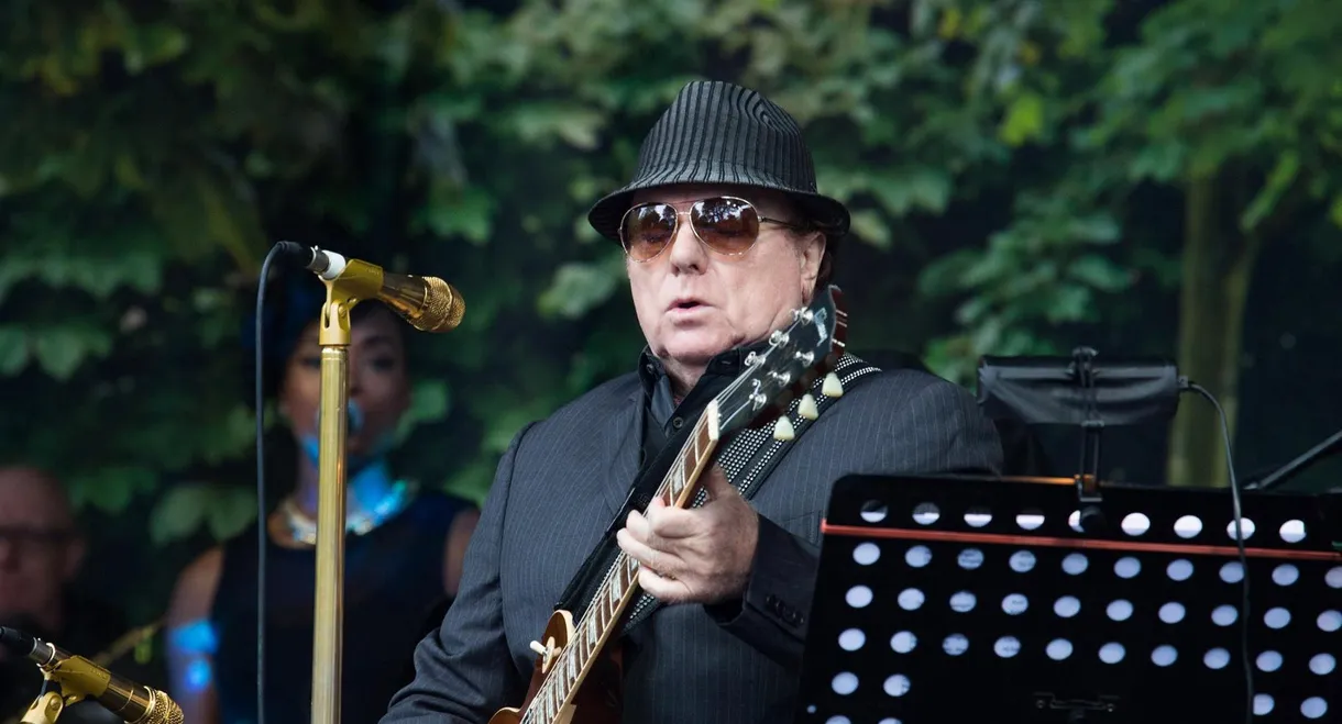 Van Morrison – Up on Cyprus Avenue