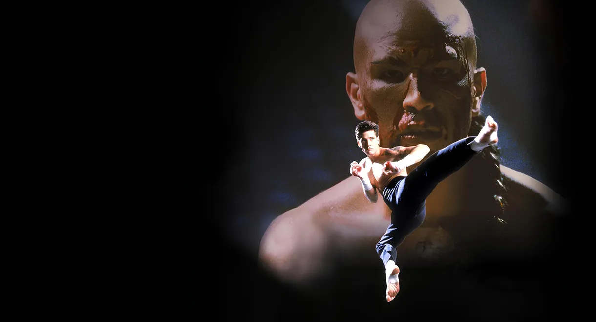 Kickboxer 4: The Aggressor