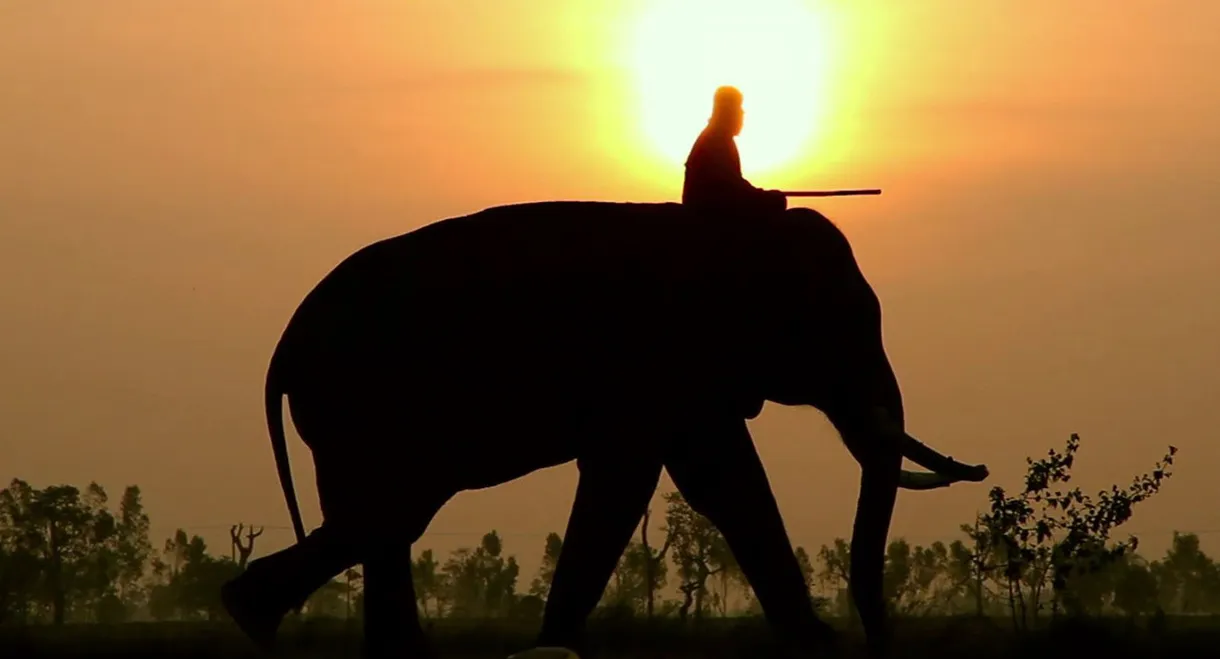 When Elephants Were Young