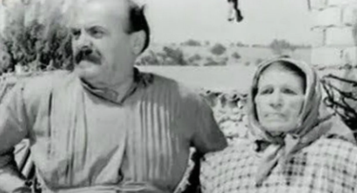 They ere all... Fools!