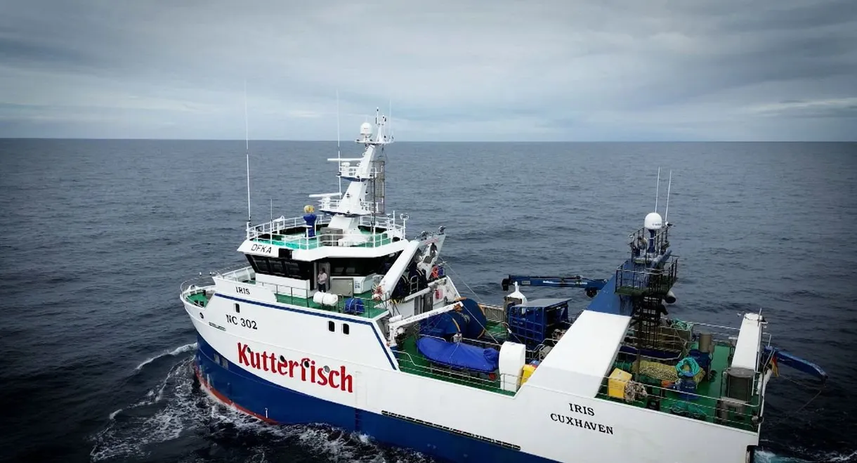 Gegen Wind und Wellen - Auf Fangfahrt mit den deutschen Seelachsfischern