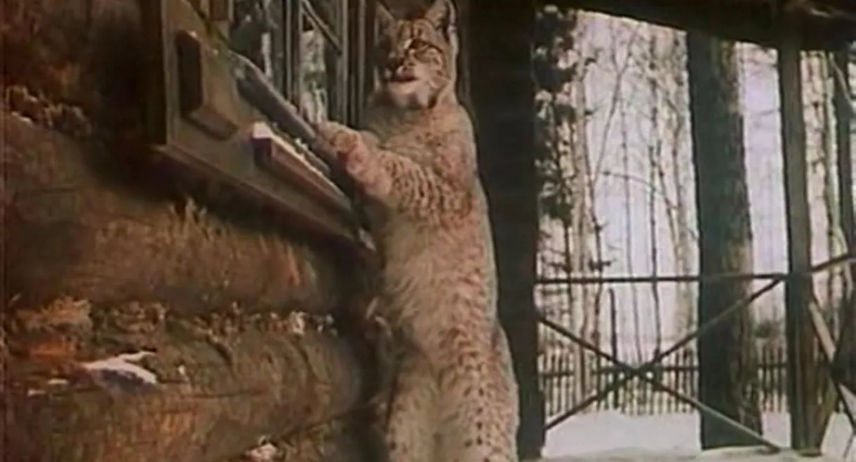 The Path Of Selfless Love