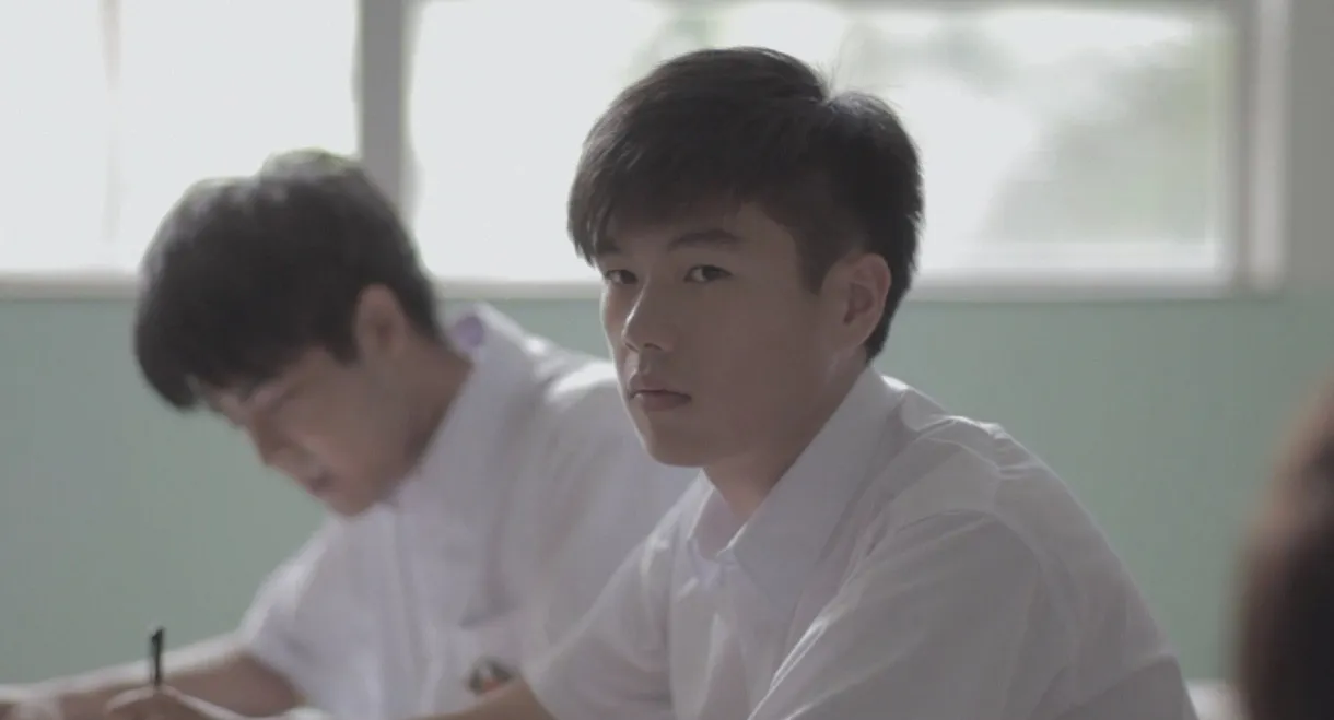 Why Don't We Share Our Solitude