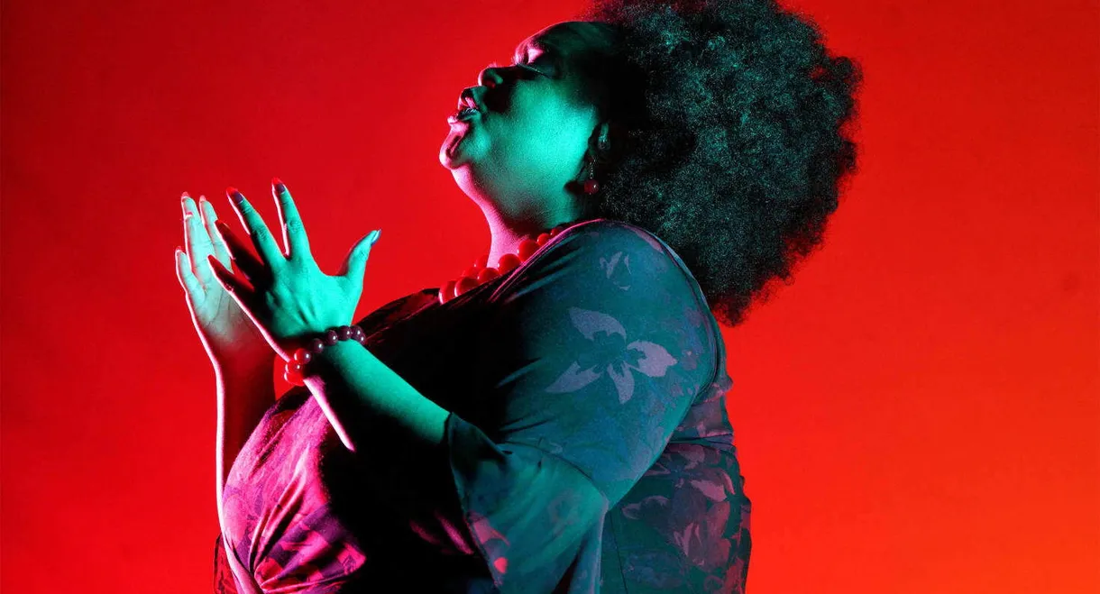 The Anonymous Lover — LA Opera