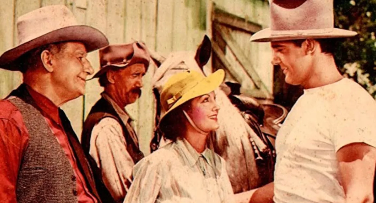 Konga, the Wild Stallion