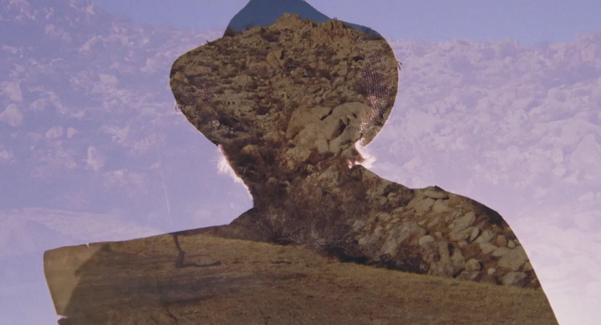 Prisoner of the Desert