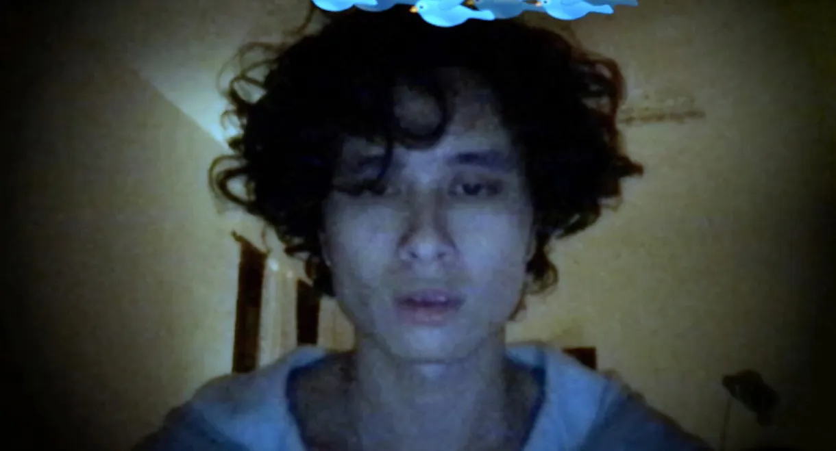 Debut, or, Objects of the Field of Debris as Currently Catalogued