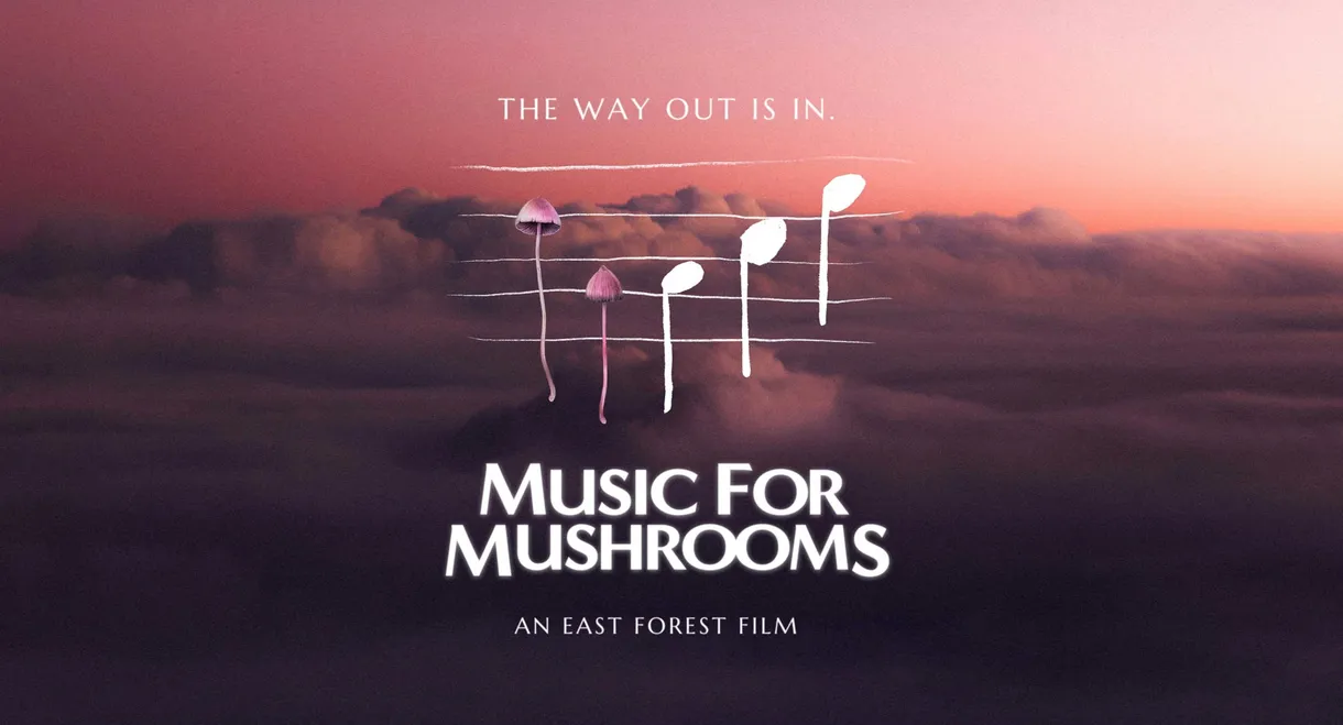 Music for Mushrooms