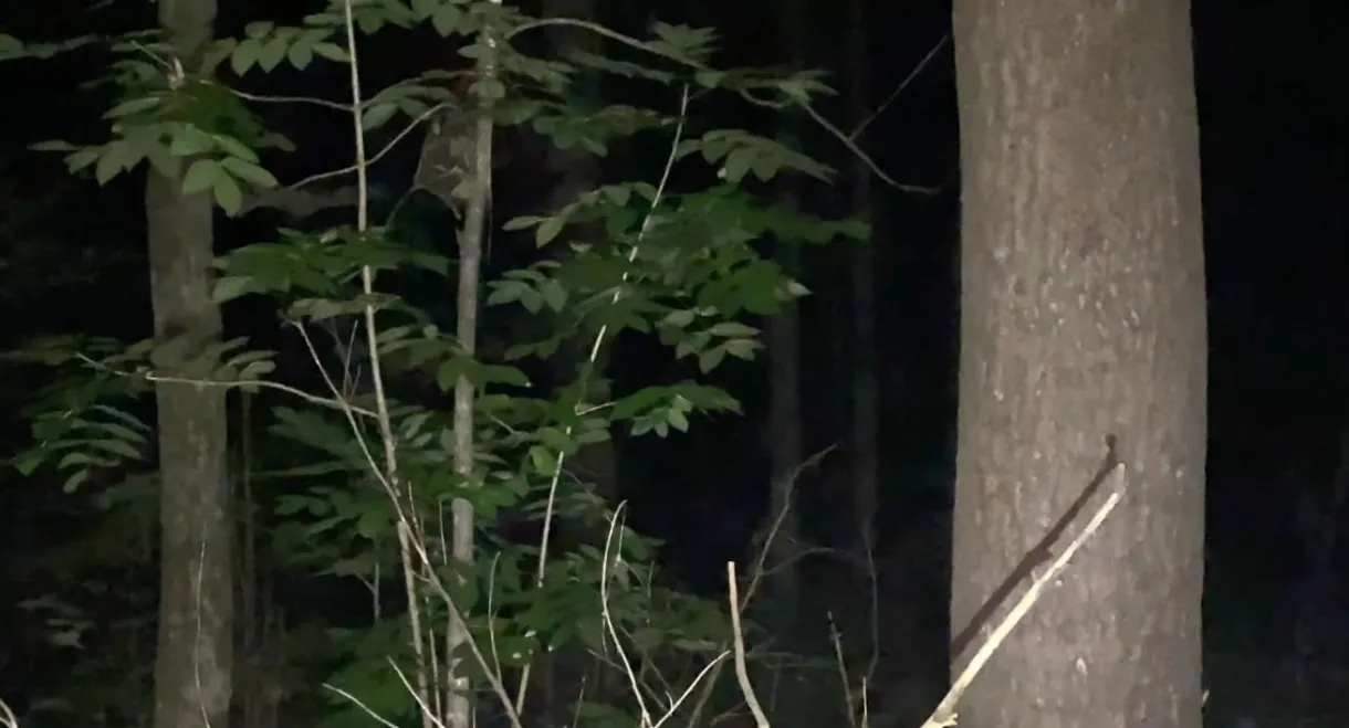 vingt deux heures vingt deux.