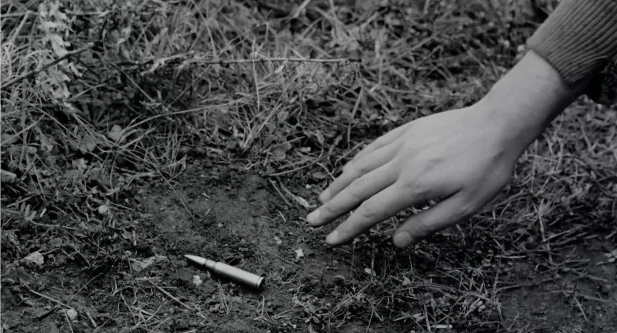 Four Days of a Partisan