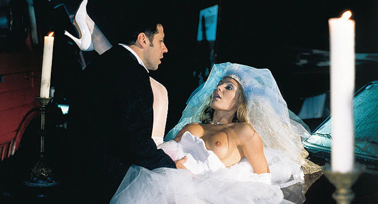 Laure Sainclair Infinity