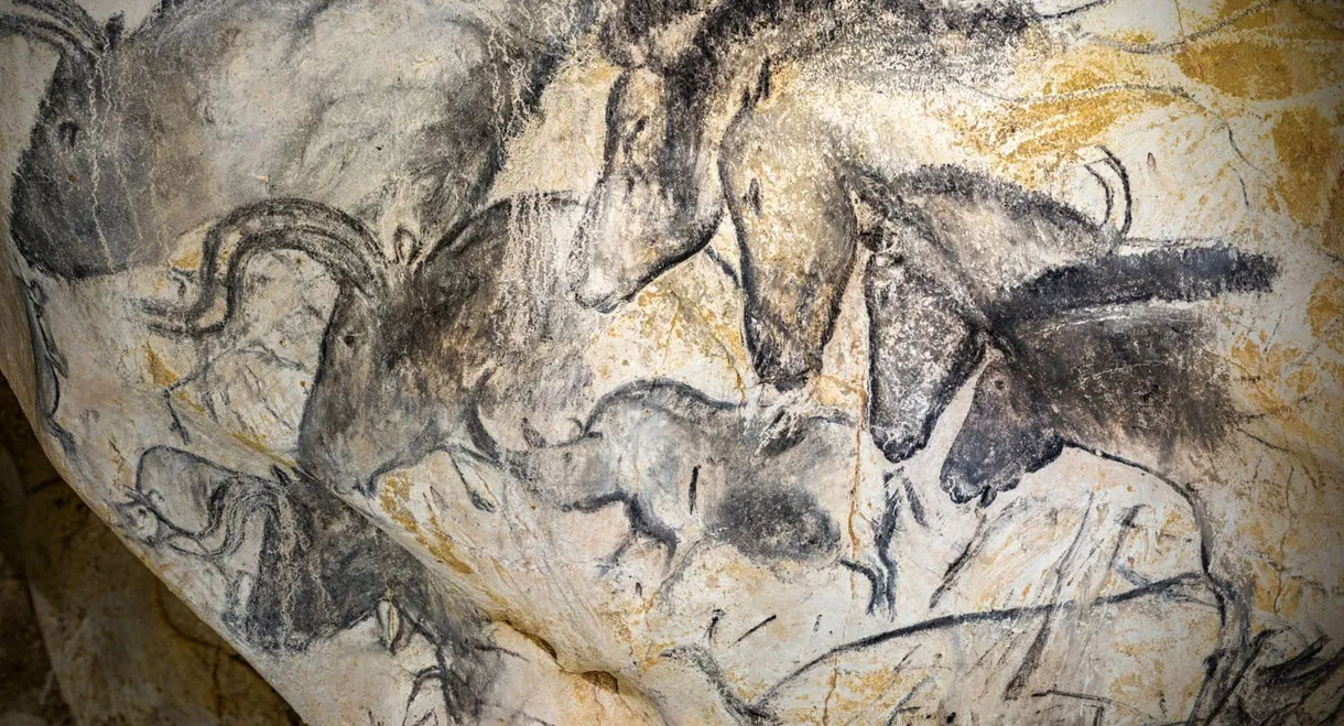 Grotte Chauvet - Dans les pas des artistes de la Préhistoire
