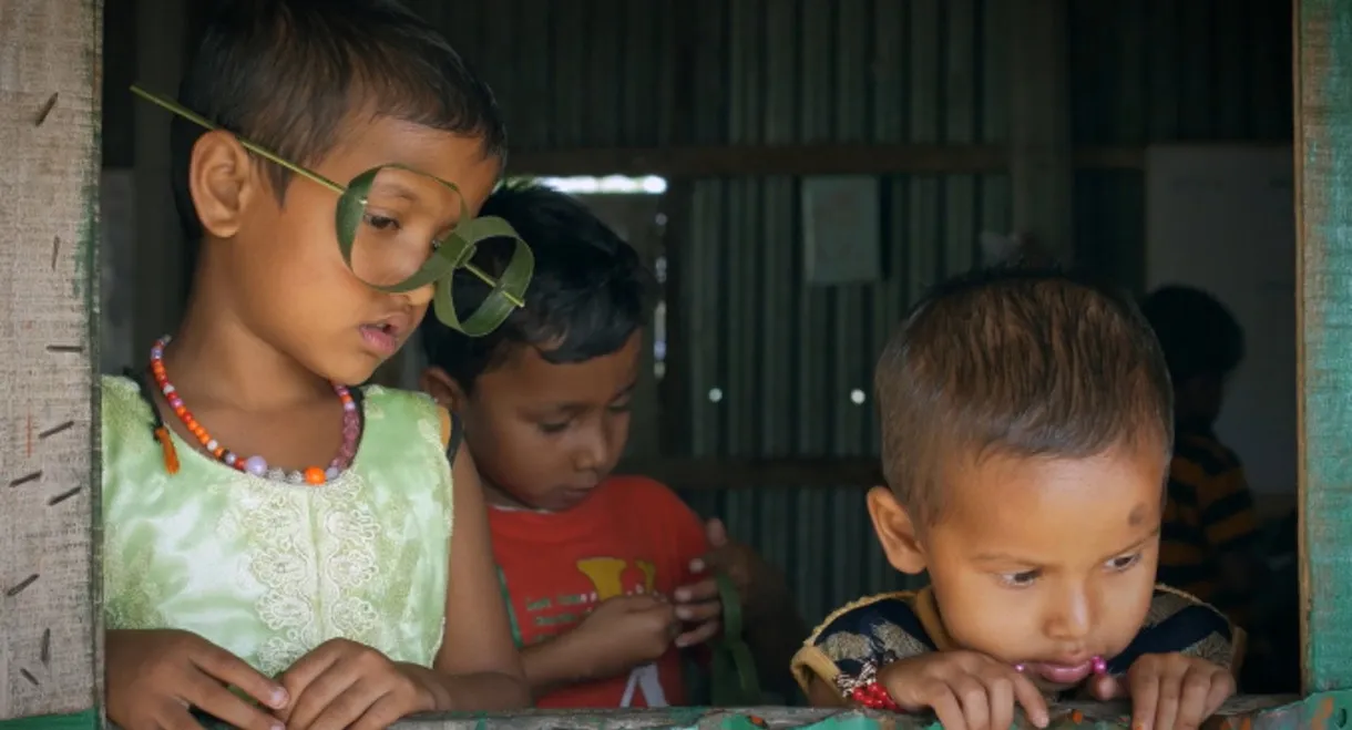 The Hexagonal Hive and a Mouse in a Maze