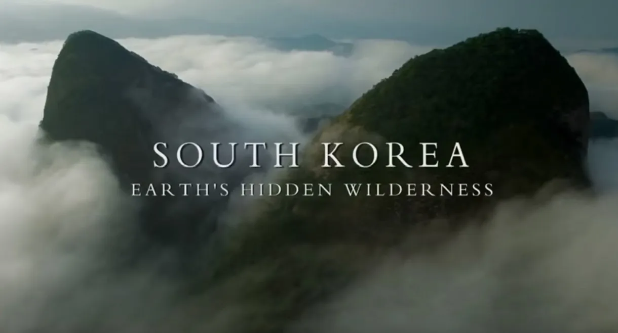 South Korea: Earth's Hidden Wilderness