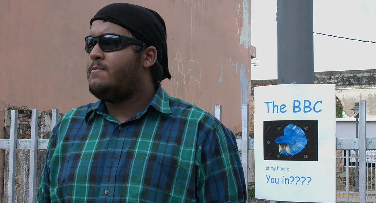 The Betta Brawling Championship