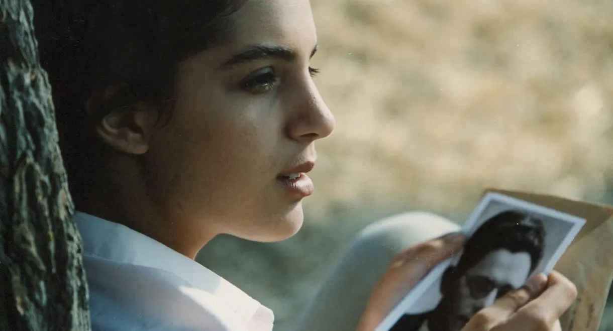 Under The Domim Tree