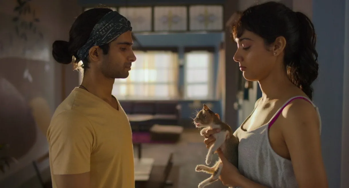 Max, Min and Meowzaki