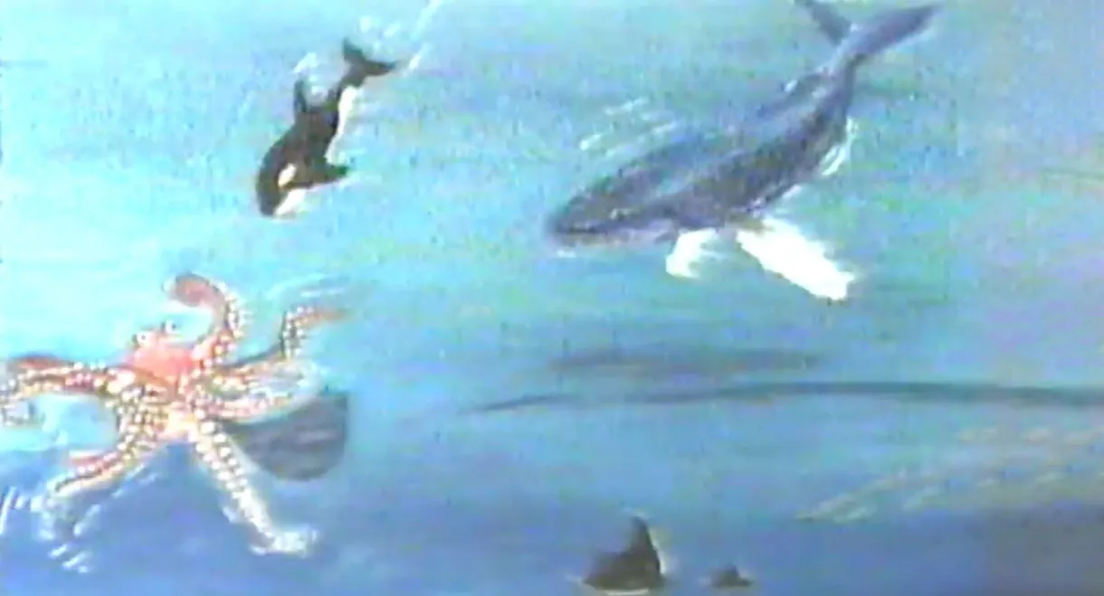 Hampie - A Little Whale Discovers His World