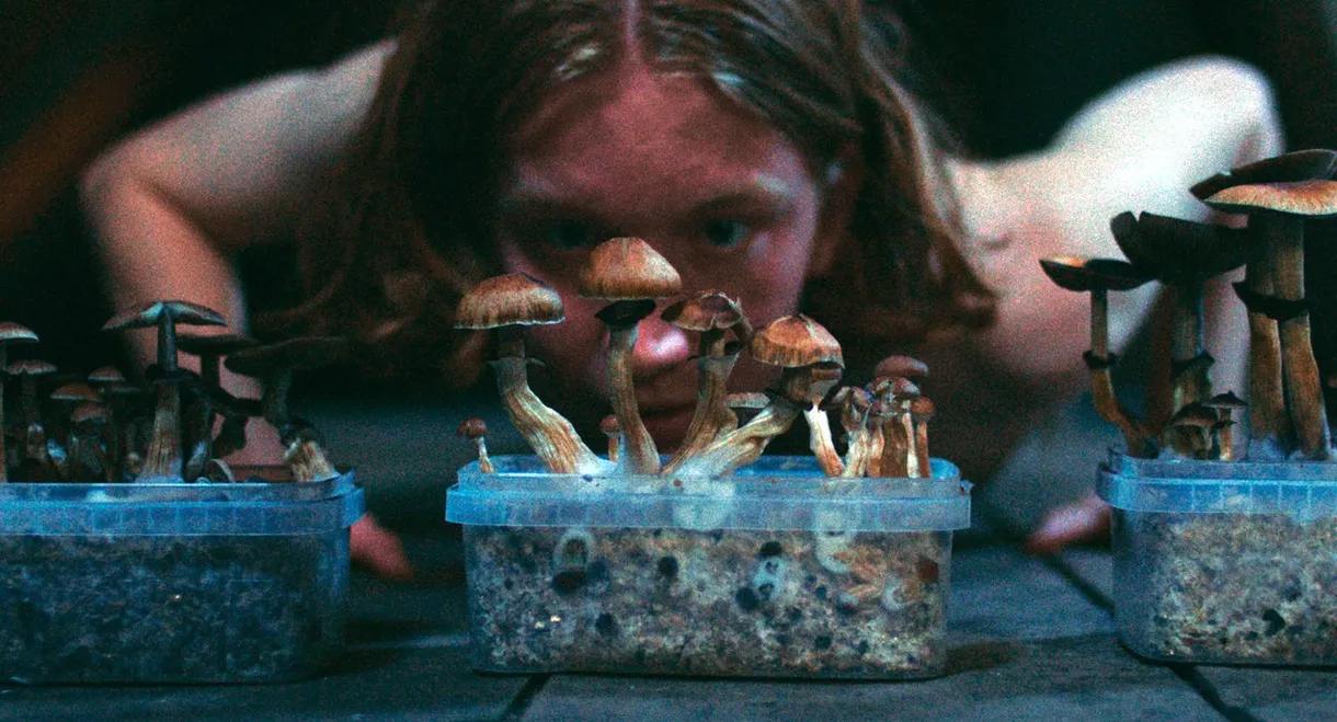 The Great Glitch / Children of Paradise