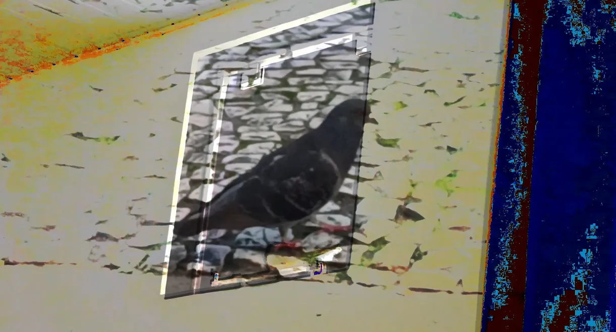 não tenho dormido muito mas continuo sonhando a cada piscada