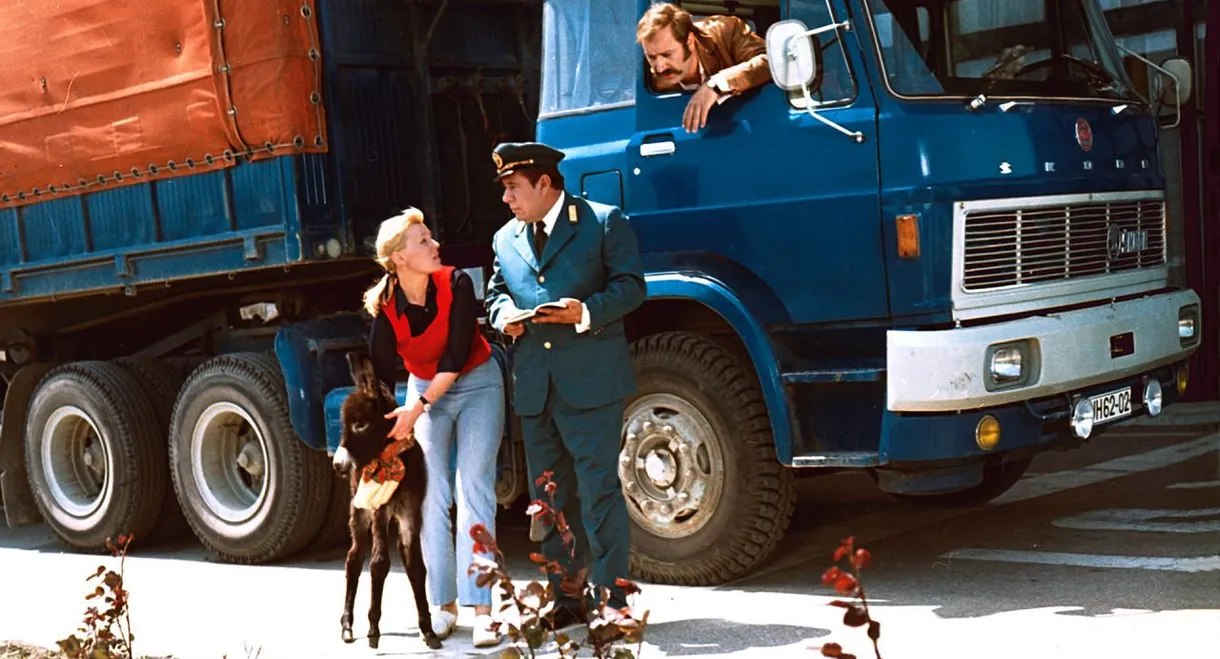 How Do You Feed A Donkey?