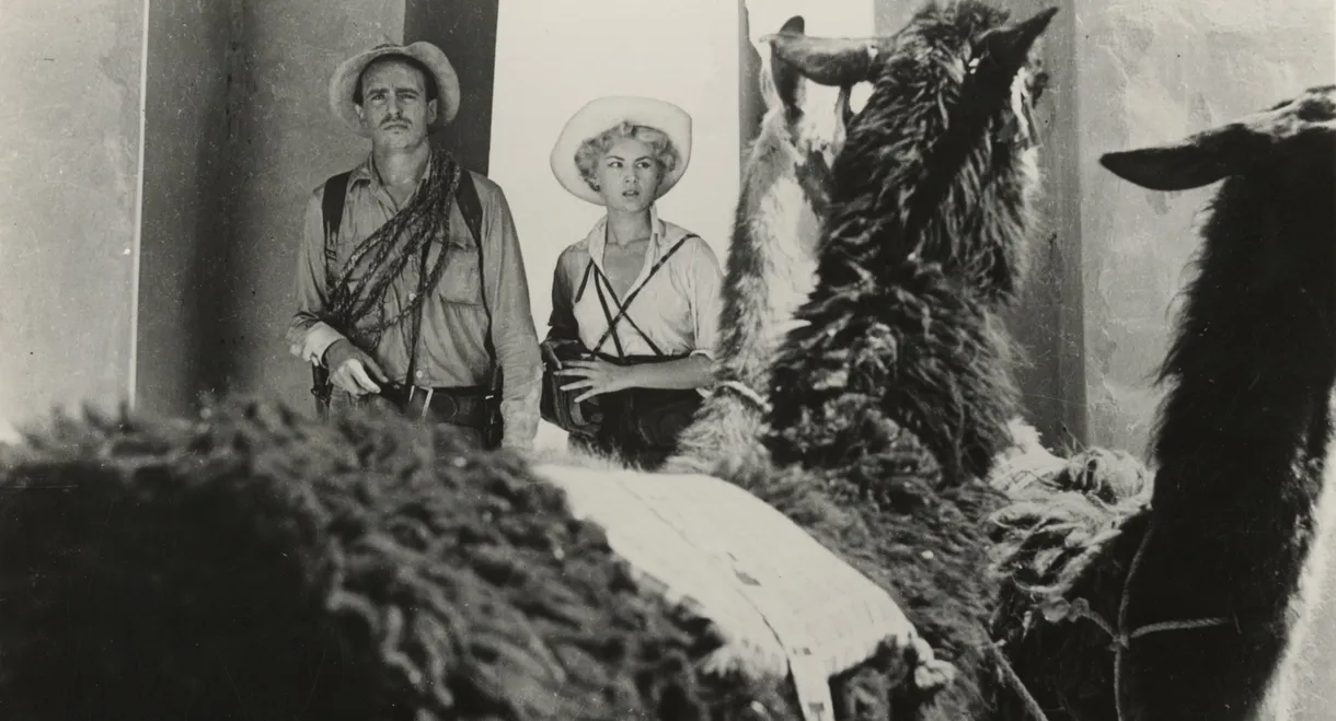 Daughter of the Sun God