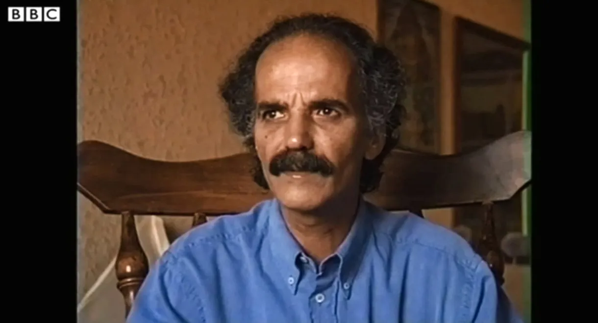 About This Bright Half