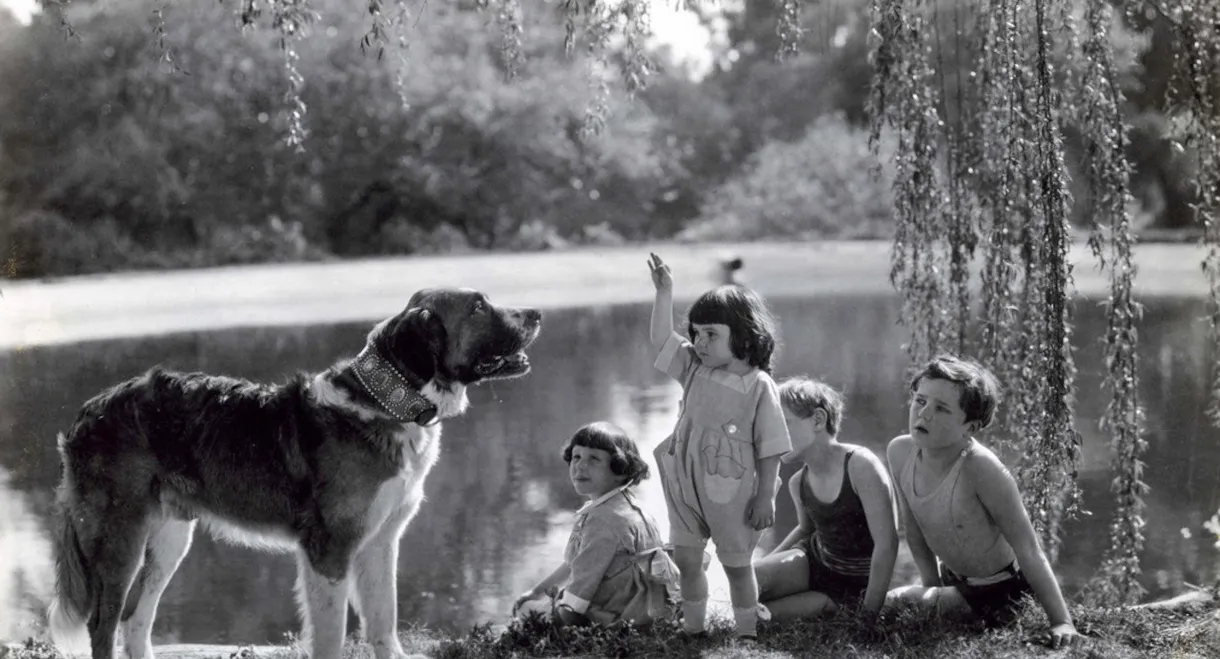 The Call of the Wild