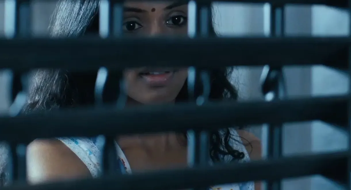 With You, Without You