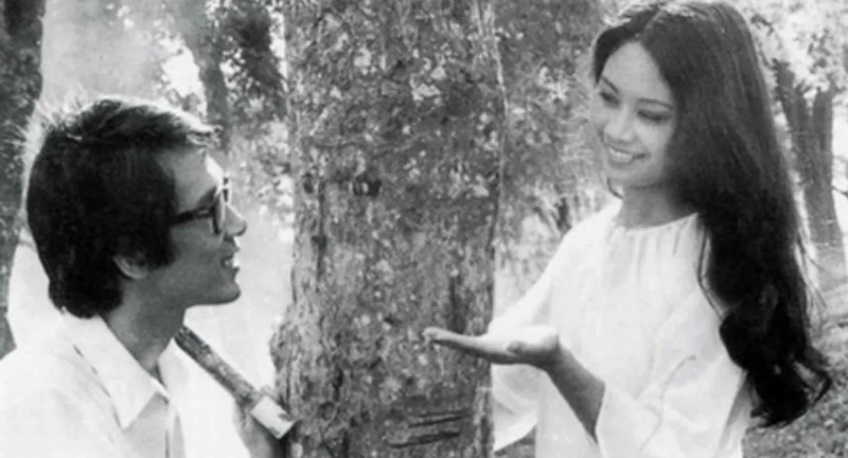 The Town Within Reach