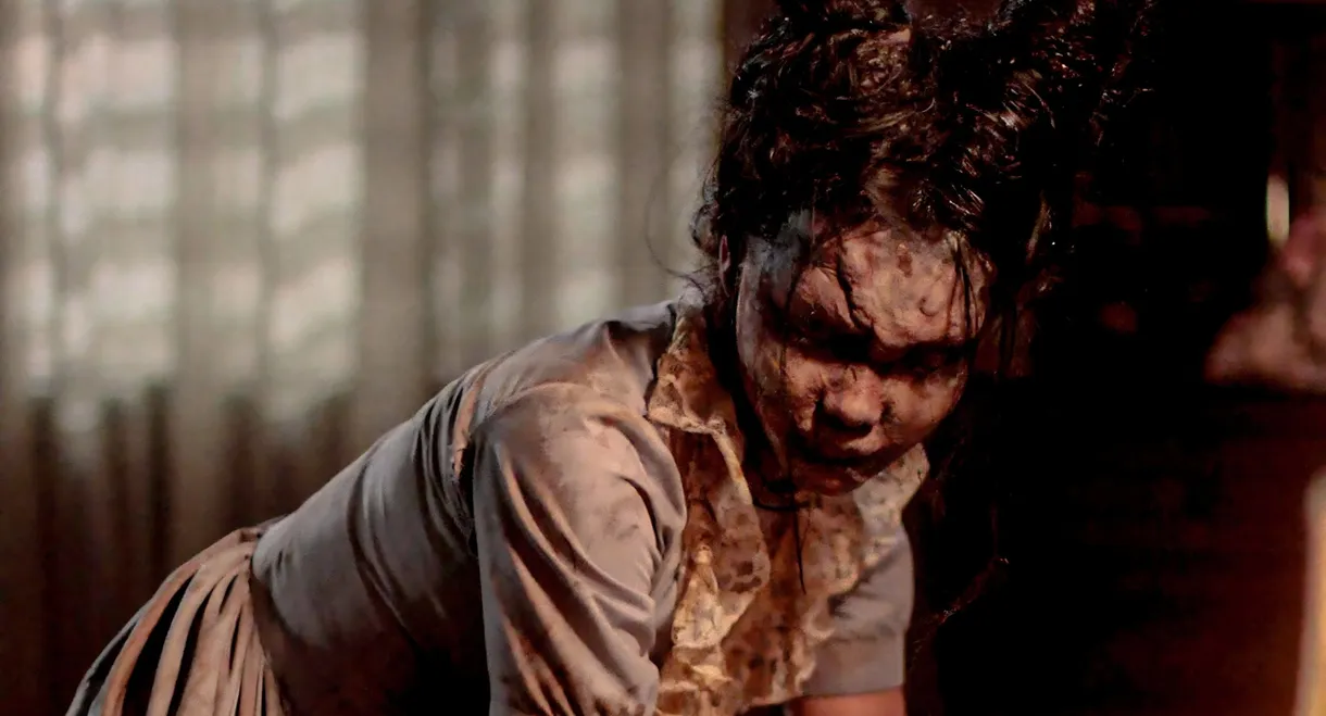 Shake, Rattle & Roll 11