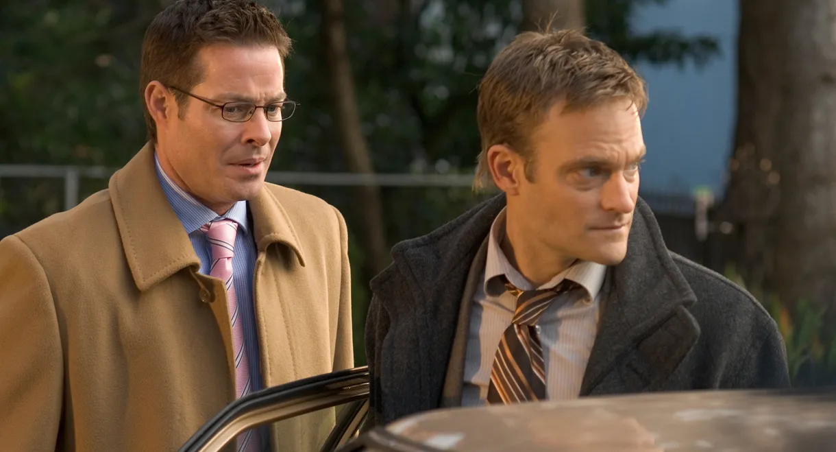 Ice Blues: A Donald Strachey Mystery