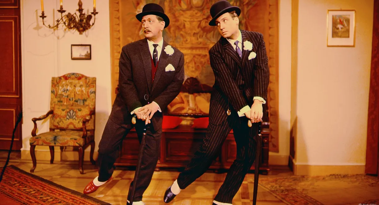 Die Abenteuer des Grafen Bobby