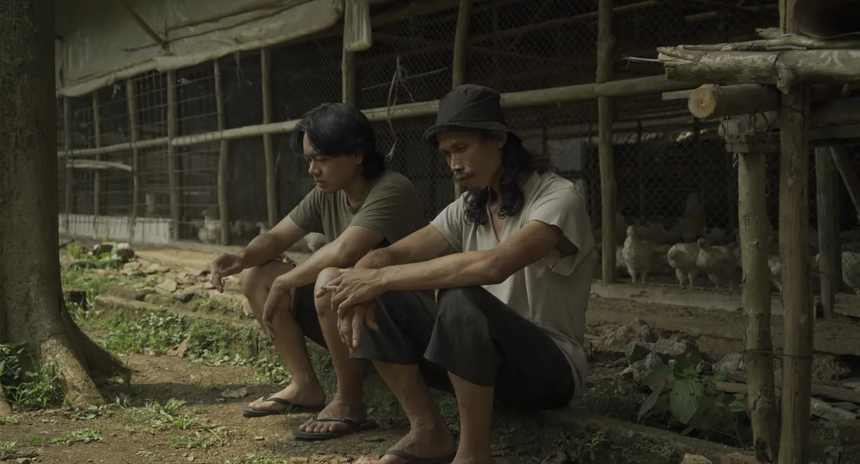 The Chicken Who isn't There